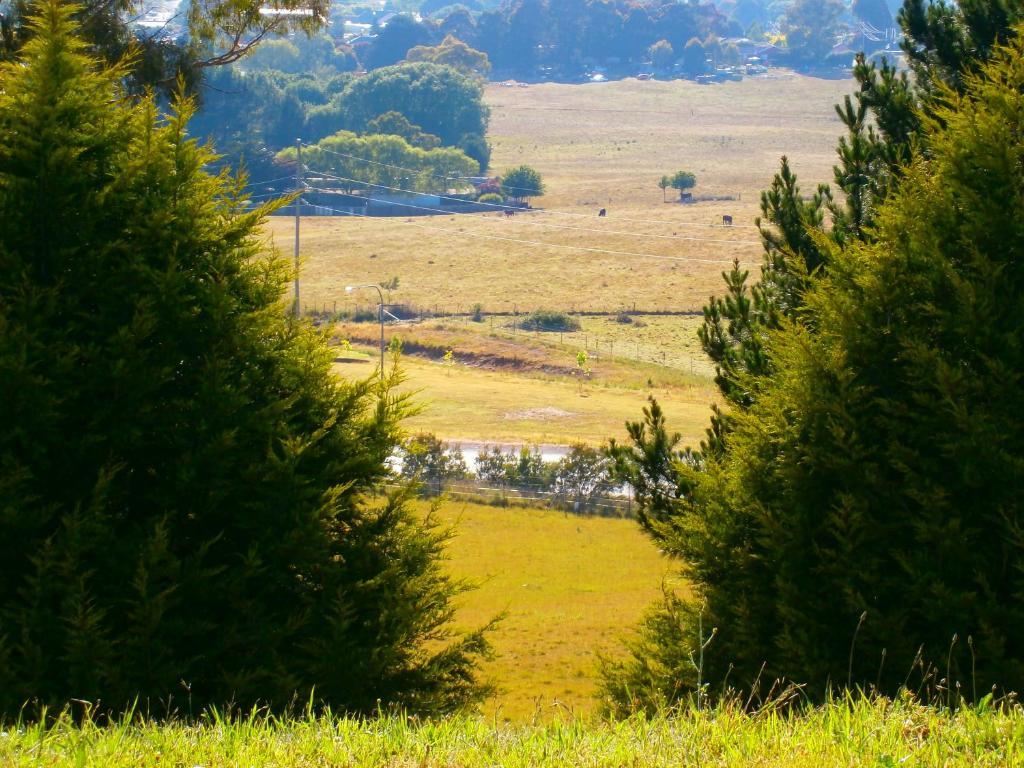Highlands Motor Inn Oberon Bagian luar foto